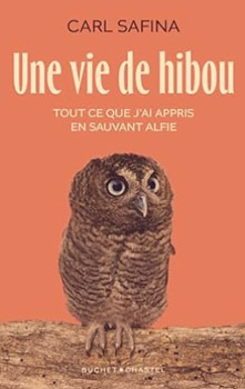 Une vie de hibou