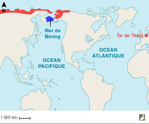 Aires de nidification et d'hivernage de l'Eider à lunettes (Somateria fischeri) et situation de l'île de Texel (Pays-Bas)