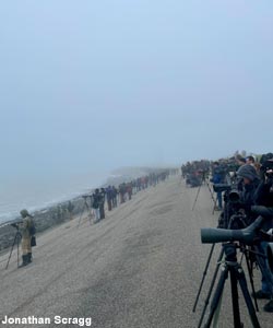 Observateurs rassemblés le 19 janvier 2025 à Oudeschild, sur l'île de Texel (Pays-Bas)