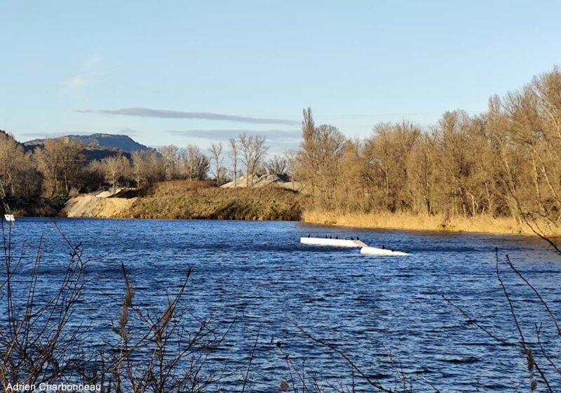 Les lacs de l’Ove blanc (Drôme), une halte hivernale régulière pour le Fuligule nyroca