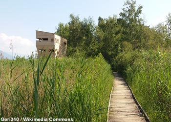 Observatoire dans la réserve naturelle de Champ-Pittet (Suisse)