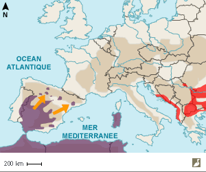 Aire de nidification du Moineau espagnol (Passer hispaniolensis)