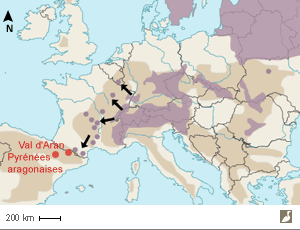 Aire de répartition européenne de la Chevêchette d'Europe (Glaucidium passerinum)