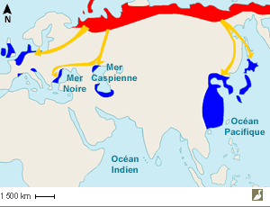 Aires de reproduction et d'hivernage du Cygne de Bewick et voies de migration des trois populations