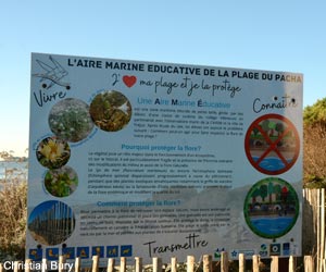 Panneau pédagogique sur la flore dunaire de la plage du Pacha