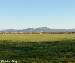 Vue de la grande prairie