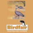 British Birdwatching Birdfair 2019