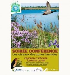 Conférence sur les oiseaux de la zone humide de la Grande Maïre (Hérault)