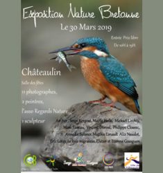 Exposition Nature Bretonne