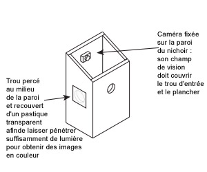 Laisser pénétrer la lumière