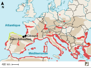 Aires de répartition des Goélands leucophée (Larus michahellis michahellis) et cantabrique (L. michahellis lusitanius)