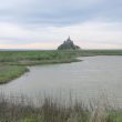 Observer les oiseaux en hiver dans les herbus de la baie du Mont-Saint-Michel