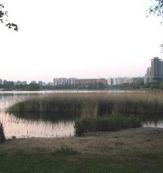 Sortie ornithologique de découverte du lac de Créteil