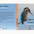 Une sélection de livres francophones sur les oiseaux