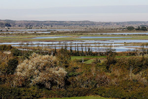 Vue des marais de l'ïle d'Olonne