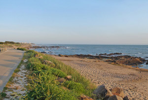 Plage de la Paracou