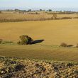 Observer l’Élanion blanc et les autres oiseaux près de Sabonnères (Haute-Garonne)