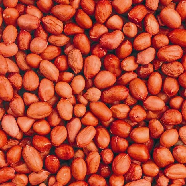 Cacahuètes décortiquées - Sac de 5 kg