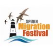 Spurn Migration Festival 2019